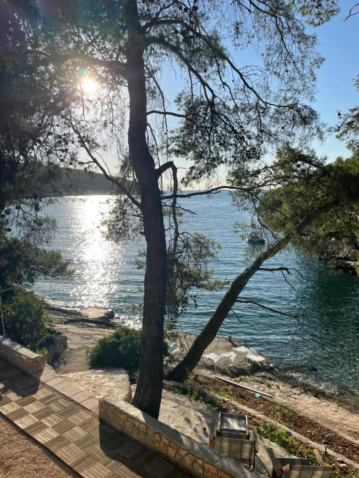 Villa Terra Nostra Hvar Хвар Экстерьер фото