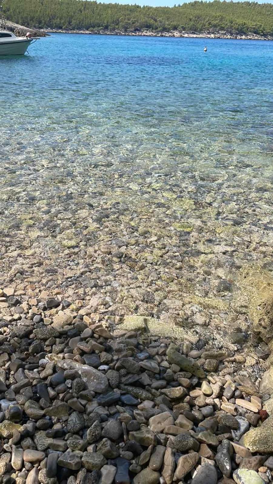 Villa Terra Nostra Hvar Хвар Экстерьер фото